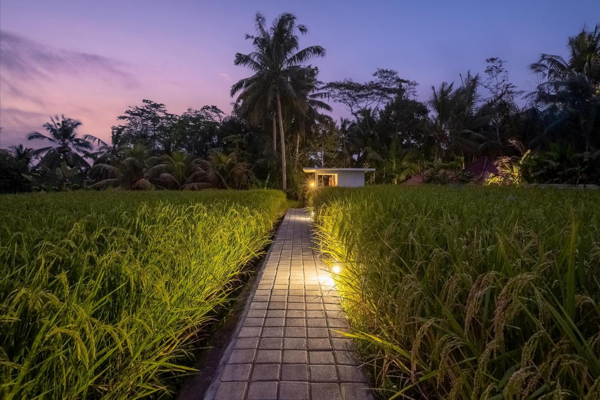 Anantra Bali Eco विला Ubud (Bali)