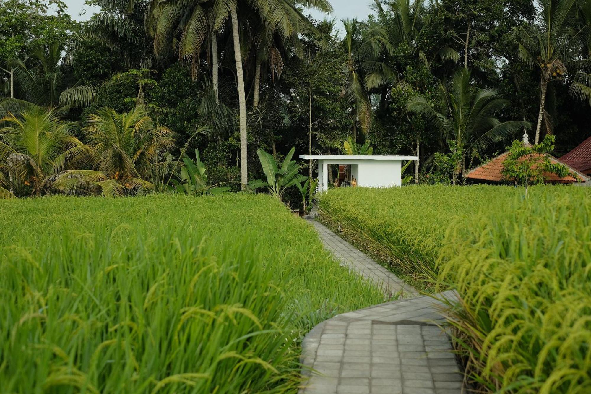 विला Anantra Bali Eco