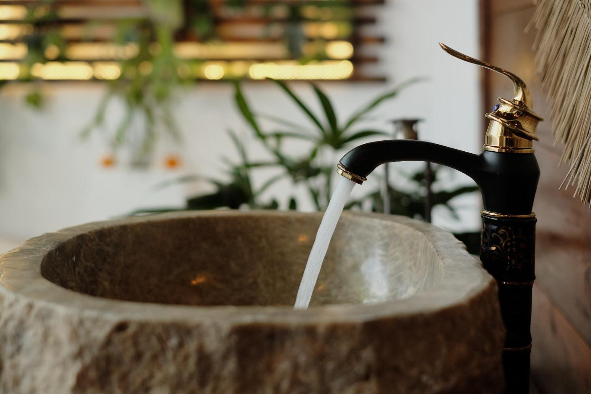 Villa Anantra Bali Eco Ubud (Bali)